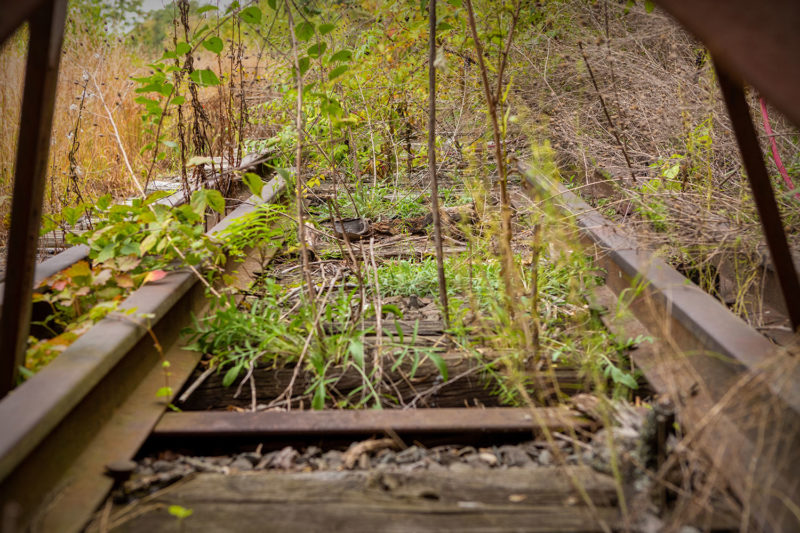 Abandoned and overgrown tracks near WATER